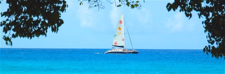 Catamaran sailing in Barbados