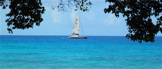 Barbados tours Barbados tours