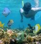 Dive Fest