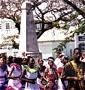 Holetown Festival