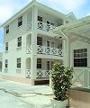 Anthurium Suites