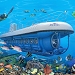 Atlantis Submarines - Experience Real Adventure (10% discount)