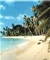 Beautiful Barbados: Golden View Apartments