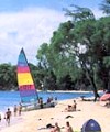Bewitching Barbados/Golden View Apartments