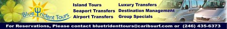 Blue Trident Tours