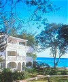 Coral Reef Club