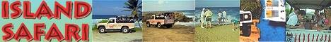 Island Safari