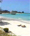 Nautilus Beach Apartments