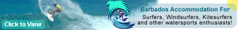 Zeds Surfing Adventures - Beach Apartments