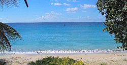 barbados real estate