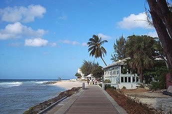 palm trees on the boardwalk