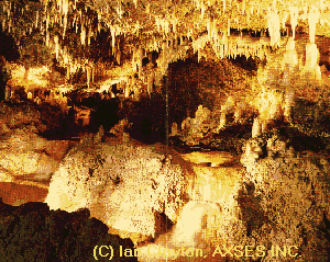 Discover the beauty of the spectacular Harrison's Cave in beautiful Barbados