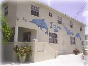 The Dolphin Inn