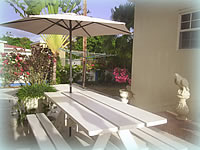 The Dolphin Inn