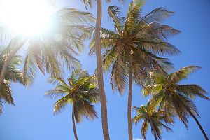 Barbados guesthouses for every budget Barbados guesthouses for every budget