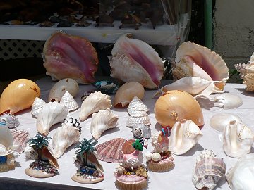 Shop for Barbados souvenirs! Shopping for beautiful Barbados memoires