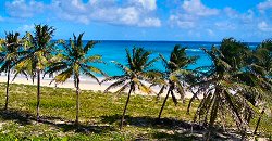 barbados real estate