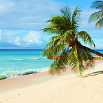 Caribbean Beach living luxury hotel style vacations Caribbean Beach living luxury hotel style vacations