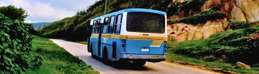 Public Transport
