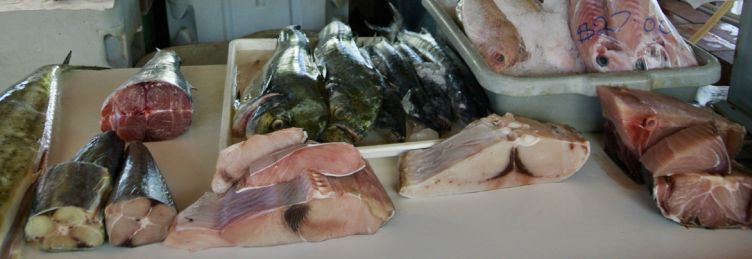 Fresh fish in Oistins Fresh fish in Oistins