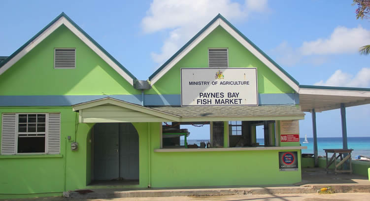 Paynes Bay Fish Market in Barbados on the West Coast Barbados Fish Market