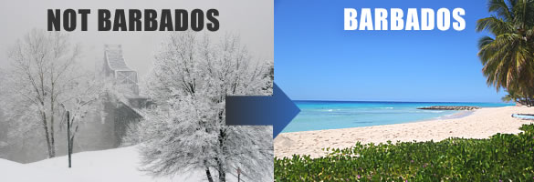 Sun vs snow... an easy choice Sun vs snow... an easy choice