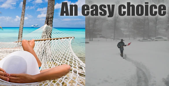 Sun vs snow... an easy choice Sun vs snow... an easy choice
