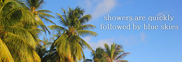 In Barbados showers are quickly followed by blue skies Showers are quickly followed by blue skies