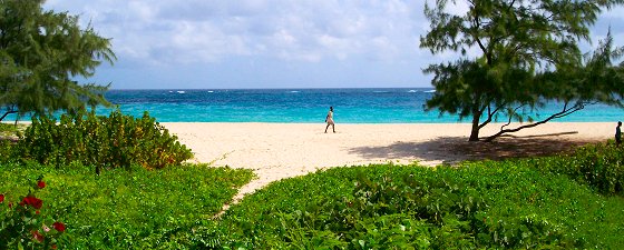Barbados tours Barbados tours