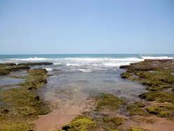 Ocean Pools & Open Seas Ocean Pools & Open Seas