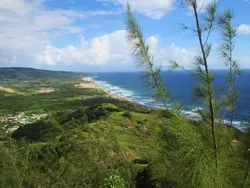 View Looking North View Looking North