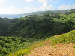 View Looking South View Looking South