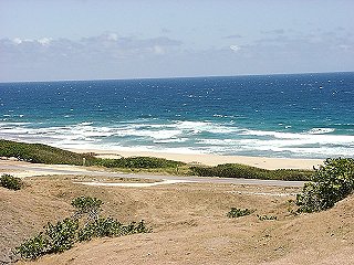 Overlooking Barclays Park, Barbados