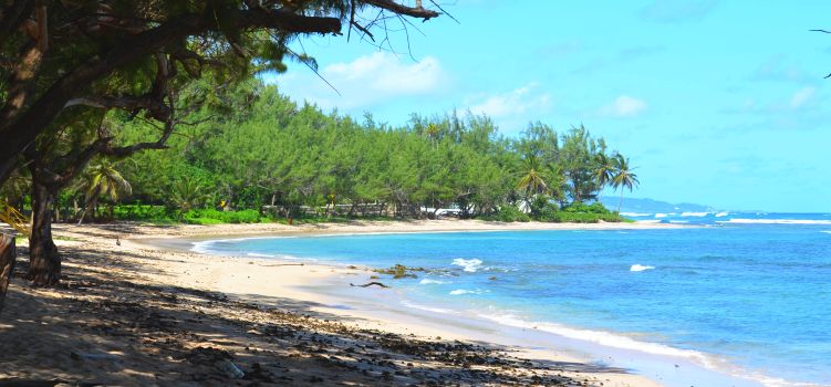 Bath beach in Barbados Bath beach, Barbados
