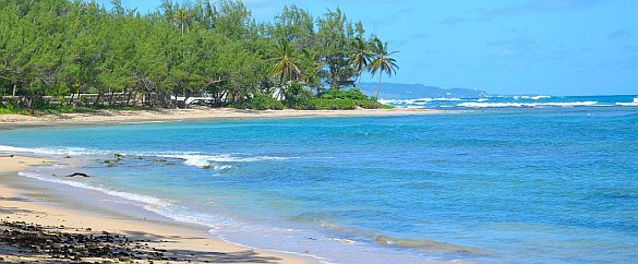 Bath beach in Barbados Bath beach, Barbados