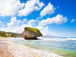 Stretch of beach at Bathsheba Stretch of beach at Bathsheba