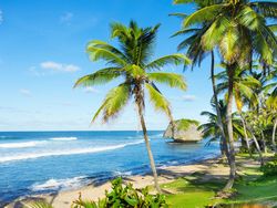 Bathsheba Vista Bathsheba Vista