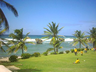 Bathsheba Park Barbados