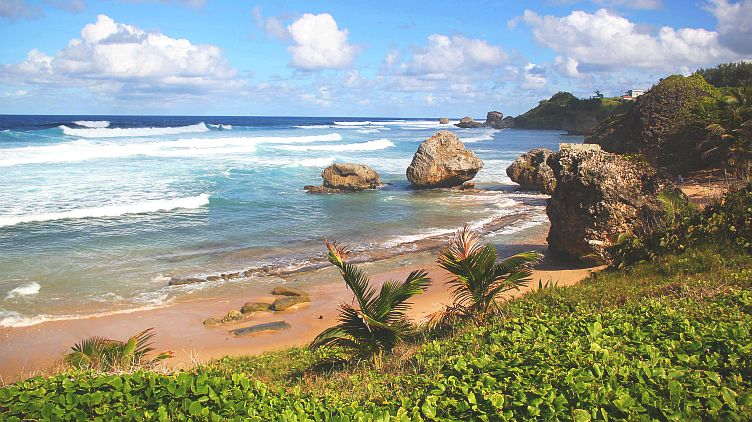 Overlooking Bathsheba