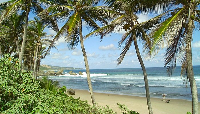 Barbados - Adventures Abound!
