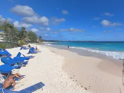 Turtle Beach Turtle Beach