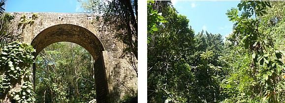 Blackmans Gully & Bridge, Barbados