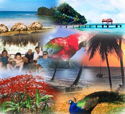 Explore the Caribbean!