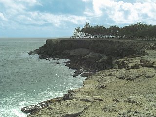 Cliffs at Cove Bay