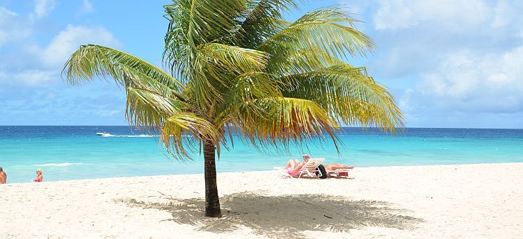 Soaking up the sun at Dover Beach
