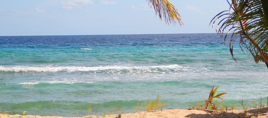 Open water at Drill Hall beach Open water at Drill Hall beach