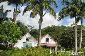 Sugar Machinery Museum