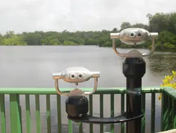 Get A Closer Look Get A Closer Look