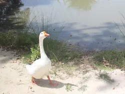 I'll Hang Out With Gary Instead! I'll Hang Out With Gary Instead!