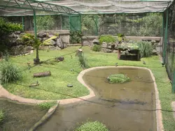 Part Of The Migratory Zone Part Of The Migratory Zone